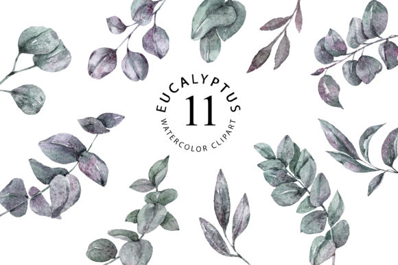 Christmas Eucalyptus Clipart Watercolor Illustrations