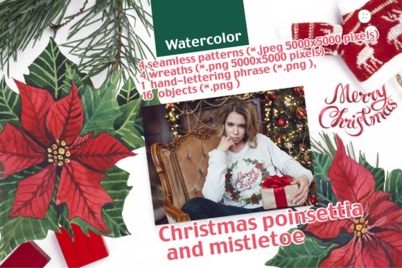 Christmas Poinsettia and Mistletoe